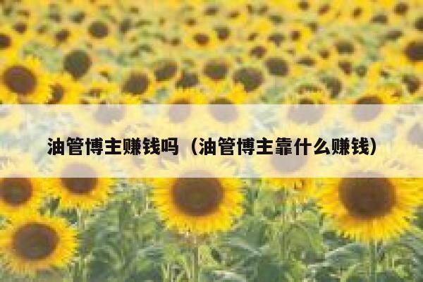 油管博主赚钱吗(油管博主靠什么赚钱) 第1张 油管博主赚钱吗(油管博主靠什么赚钱) 第1张