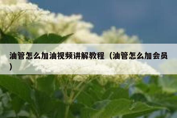 油管怎么加油视频讲解教程(油管怎么加会员) 第1张 油管怎么加油视频讲解教程(油管怎么加会员) 第1张