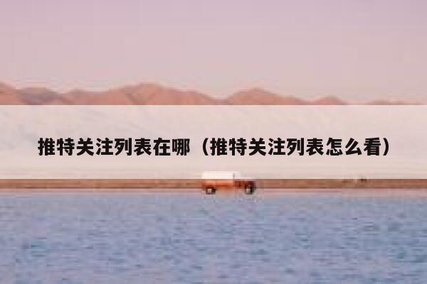 推特关注列表在哪（推特关注列表怎么看） 第1张