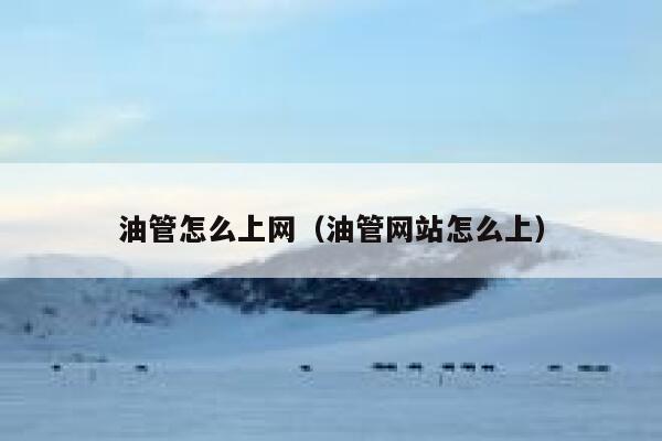 油管怎么上网(油管网站怎么上) 第1张 油管怎么上网(油管网站怎么上) 第1张