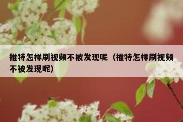 推特怎样刷视频不被发现呢（推特怎样刷视频不被发现呢） 第1张