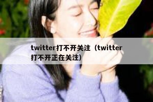 twitter打不开关注（twitter打不开正在关注） 第1张