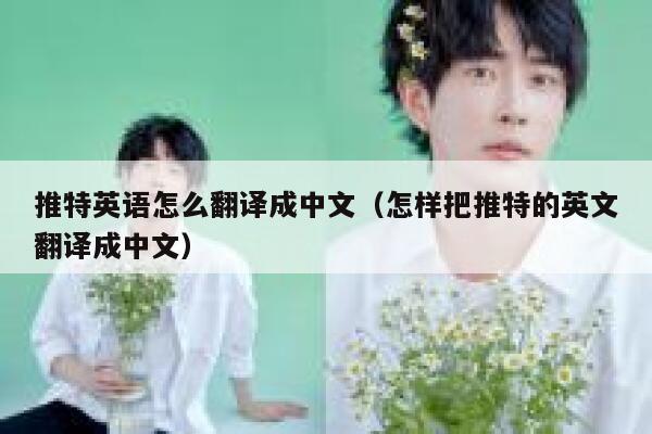 推特英语怎么翻译成中文（怎样把推特的英文翻译成中文） 第1张