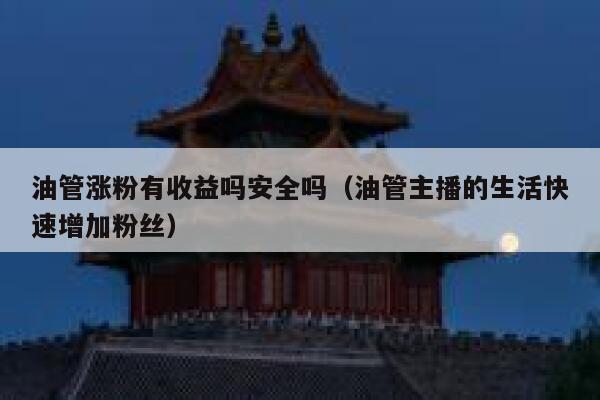 油管涨粉有收益吗安全吗（油管主播的生活快速增加粉丝） 第1张