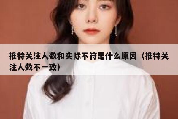 推特关注人数和实际不符是什么原因（推特关注人数不一致） 第1张