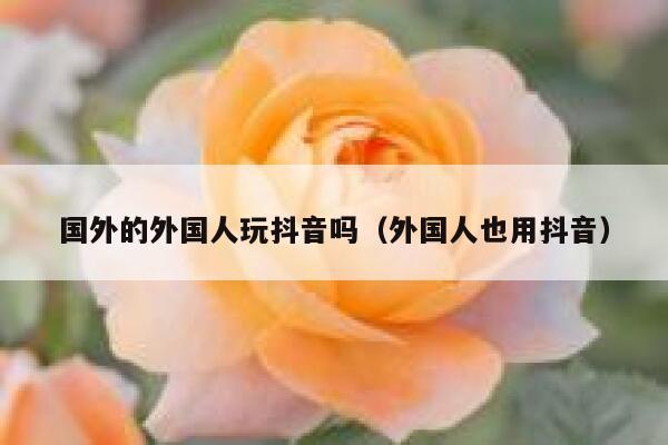 国外的外国人玩抖音吗（外国人也用抖音） 第1张