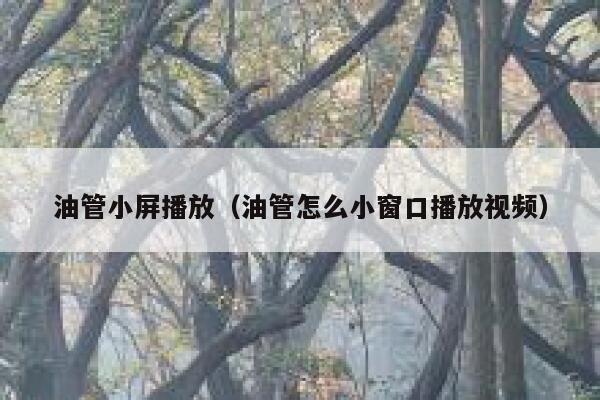 油管小屏播放（油管怎么小窗口播放视频） 第1张