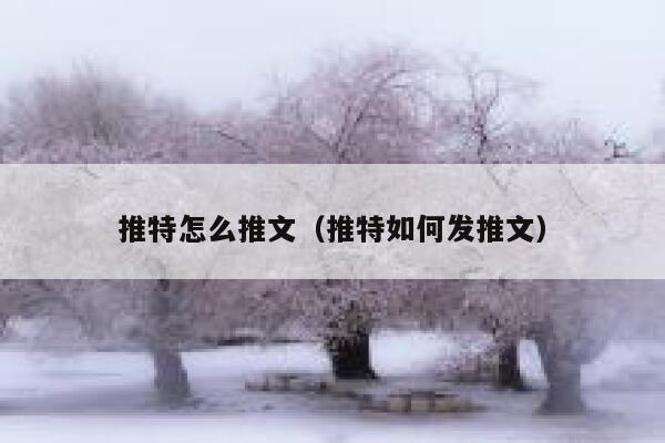 推特怎么推文（推特如何发推文） 第1张