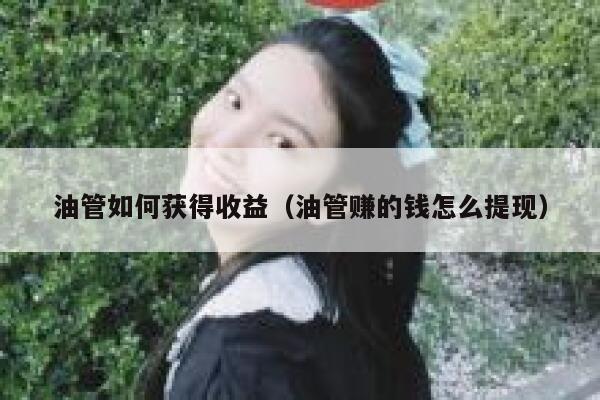 油管如何获得收益（油管赚的钱怎么提现） 第1张