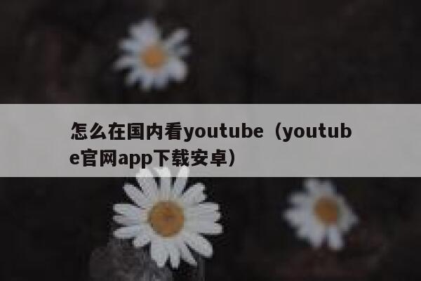 怎么在国内看youtube（youtube官网app下载安卓） 第1张