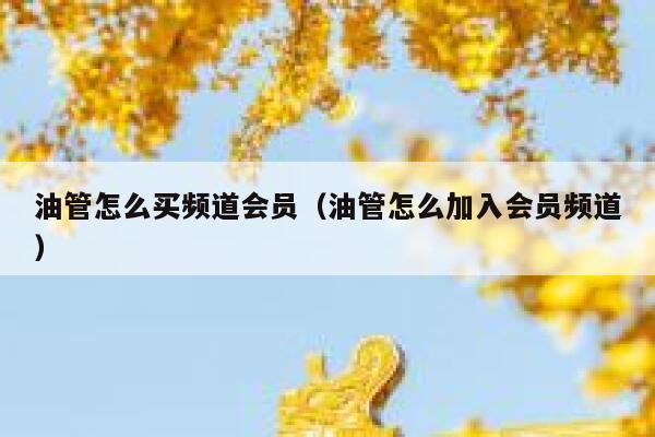油管怎么买频道会员（油管怎么加入会员频道） 第1张