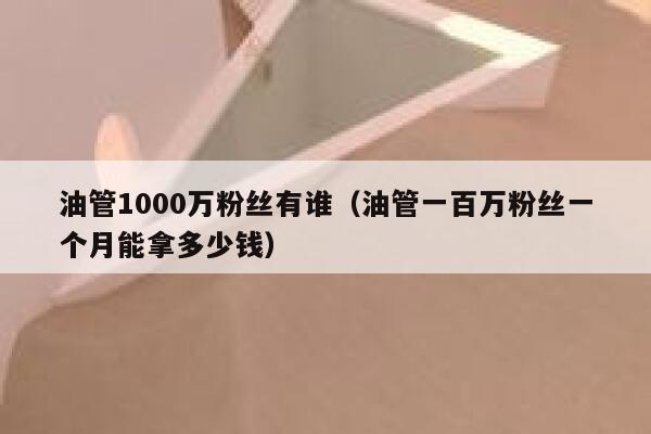 油管1000万粉丝有谁（油管一百万粉丝一个月能拿多少钱） 第1张