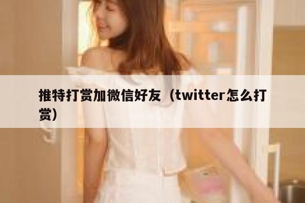 推特打赏加微信好友（twitter怎么打赏） 第1张