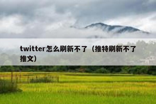 twitter怎么刷新不了（推特刷新不了推文） 第1张