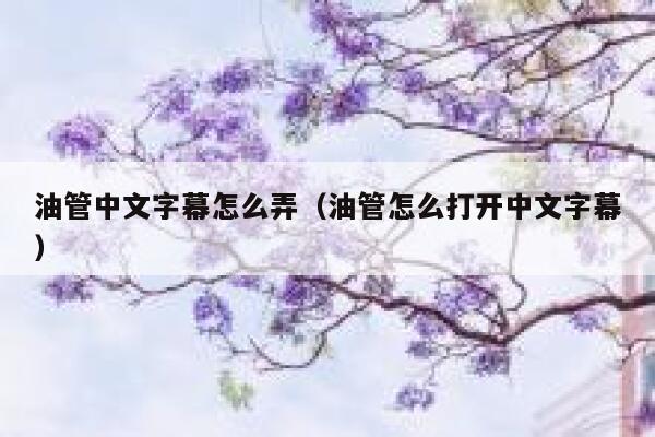 油管中文字幕怎么弄(油管怎么打开中文字幕) 第1张 油管中文字幕怎么弄(油管怎么打开中文字幕) 第1张