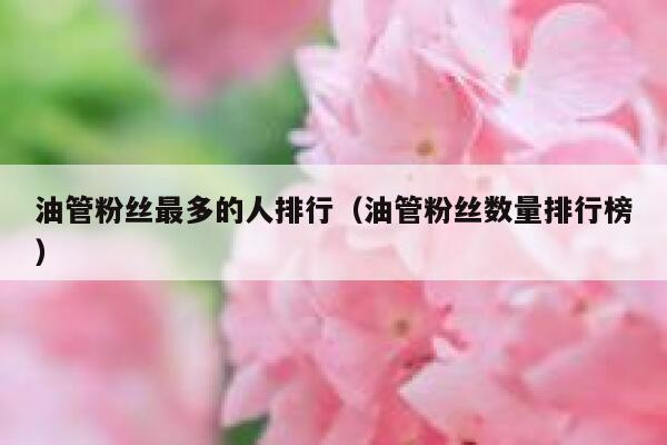 油管粉丝最多的人排行（油管粉丝数量排行榜） 第1张