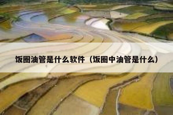 饭圈油管是什么软件(饭圈中油管是什么) 第1张 饭圈油管是什么软件(饭圈中油管是什么) 第1张