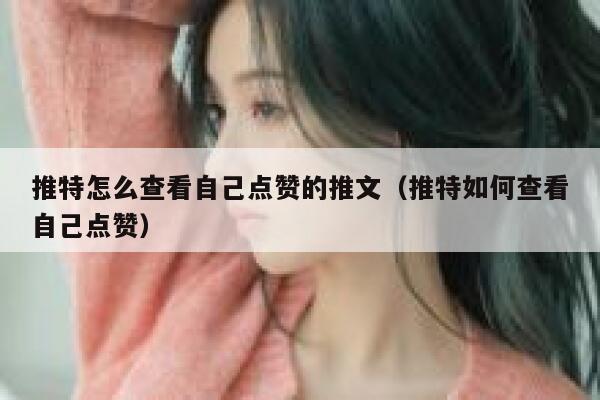 推特怎么查看自己点赞的推文（推特如何查看自己点赞） 第1张