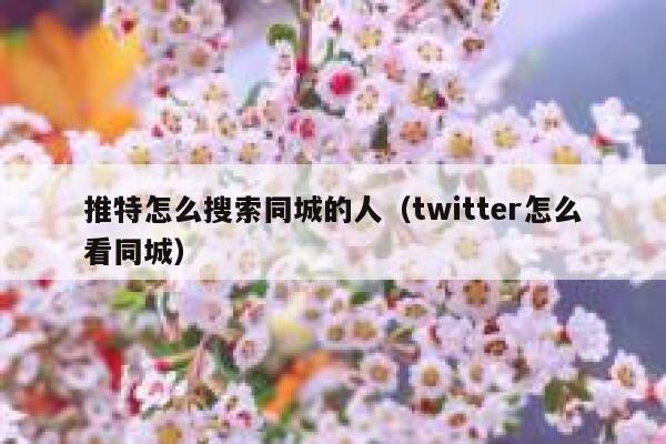 推特怎么搜索同城的人（twitter怎么看同城） 第1张