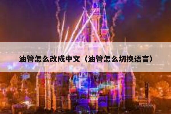 油管怎么改成中文（油管怎么切换语言） 第1张