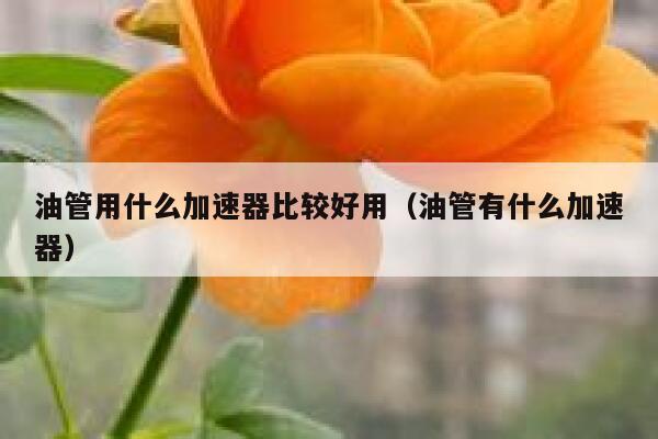 油管用什么加速器比较好用（油管有什么加速器） 第1张