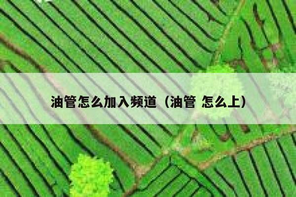 油管怎么加入频道(油管 怎么上) 第1张 油管怎么加入频道(油管 怎么上) 第1张