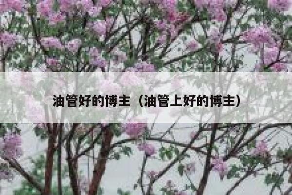 油管好的博主（油管上好的博主） 第1张