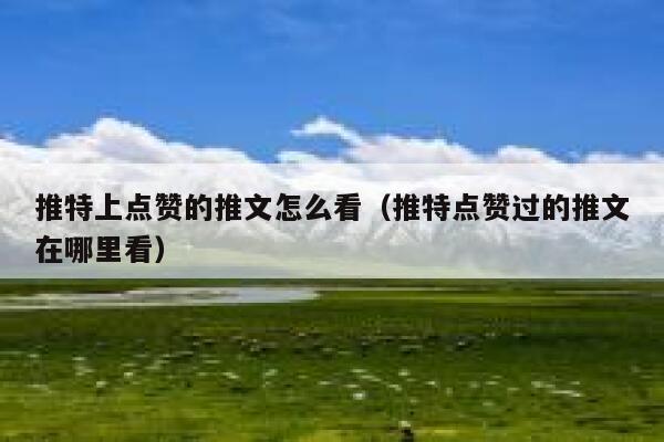 推特上点赞的推文怎么看（推特点赞过的推文在哪里看） 第1张