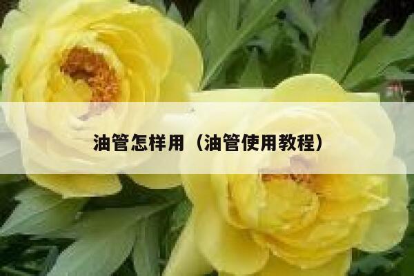 油管怎样用（油管使用教程） 第1张