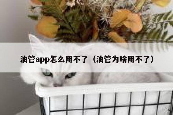 油管app怎么用不了（油管为啥用不了） 第1张