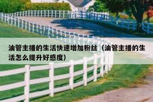 油管主播的生活快速增加粉丝（油管主播的生活怎么提升好感度） 第1张