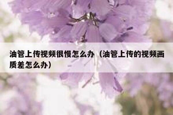 油管上传视频很慢怎么办(油管上传的视频画质差怎么办) 第1张 油管上传视频很慢怎么办(油管上传的视频画质差怎么办) 第1张