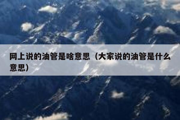 网上说的油管是啥意思（大家说的油管是什么意思） 第1张