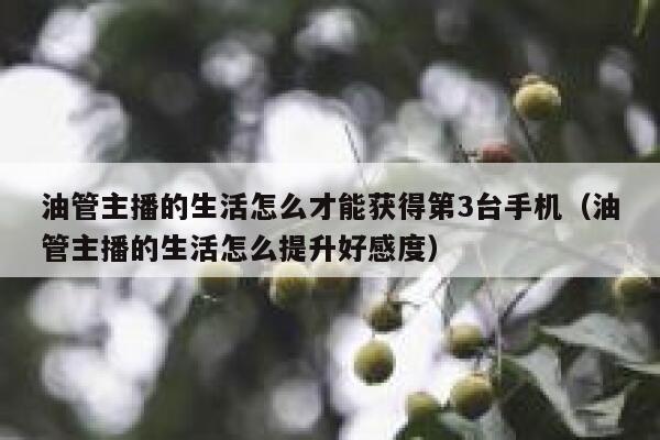油管主播的生活怎么才能获得第3台手机（油管主播的生活怎么提升好感度） 第1张