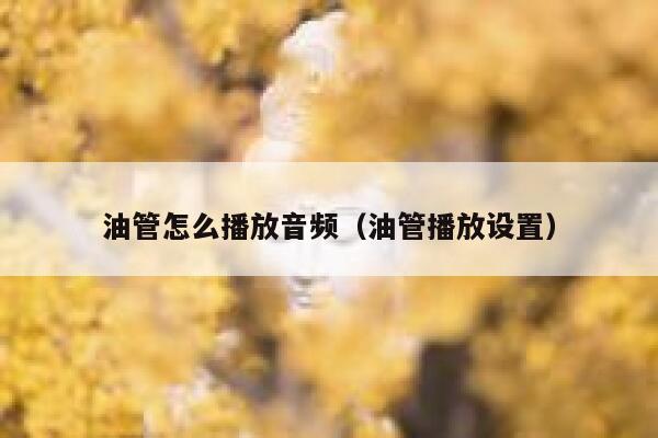 油管怎么播放音频(油管播放设置) 第1张 油管怎么播放音频(油管播放设置) 第1张