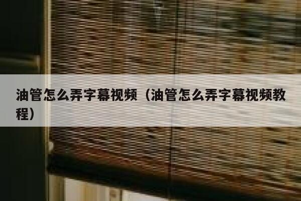 油管怎么弄字幕视频（油管怎么弄字幕视频教程） 第1张