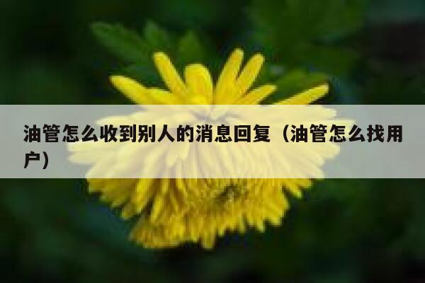 油管怎么收到别人的消息回复(油管怎么找用户) 第1张 油管怎么收到别人的消息回复(油管怎么找用户) 第1张