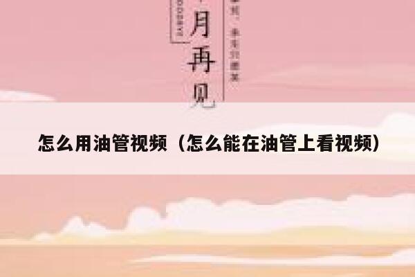 怎么用油管视频（怎么能在油管上看视频） 第1张