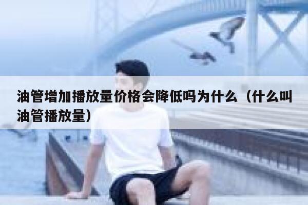 油管增加播放量价格会降低吗为什么（什么叫油管播放量） 第1张