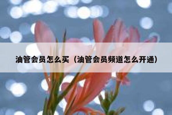 油管会员怎么买(油管会员频道怎么开通) 第1张 油管会员怎么买(油管会员频道怎么开通) 第1张