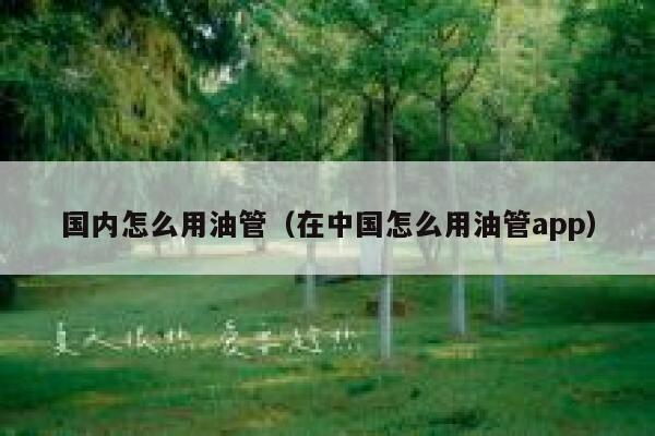国内怎么用油管（在中国怎么用油管app） 第1张