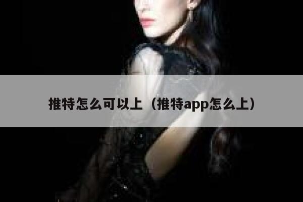 推特怎么可以上（推特app怎么上） 第1张