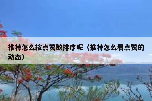 推特怎么按点赞数排序呢（推特怎么看点赞的动态） 第1张