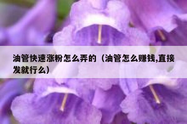 油管快速涨粉怎么弄的（油管怎么赚钱,直接发就行么） 第1张
