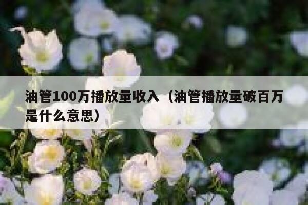 油管100万播放量收入（油管播放量破百万是什么意思） 第1张