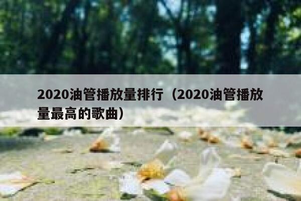 2020油管播放量排行（2020油管播放量最高的歌曲） 第1张