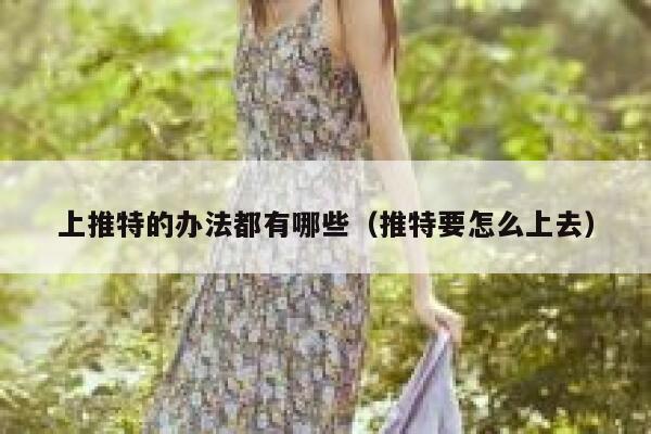 上推特的办法都有哪些（推特要怎么上去） 第1张
