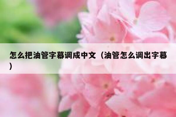 怎么把油管字幕调成中文（油管怎么调出字幕） 第1张