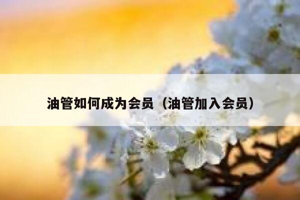 油管如何成为会员（油管加入会员） 第1张