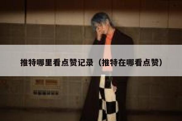 推特哪里看点赞记录（推特在哪看点赞） 第1张